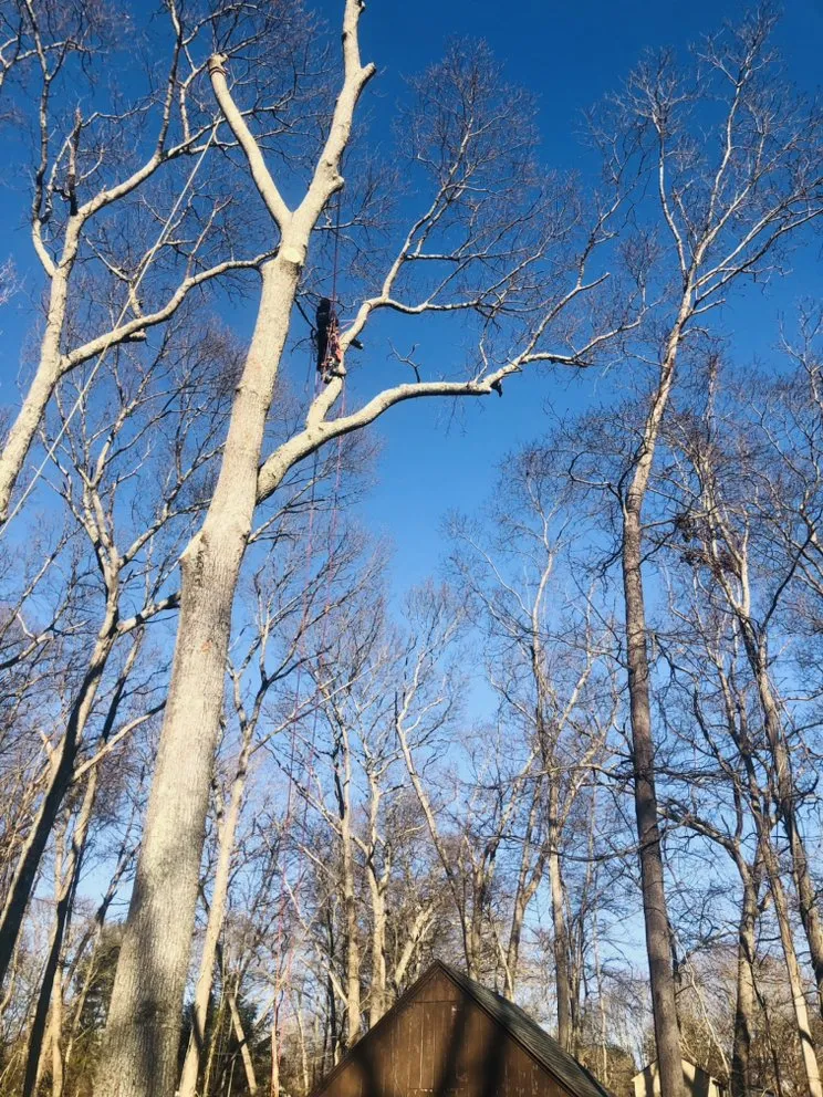 Local outdoor landscaping in Danbury, CT by Grs Tree Service & Landscaping