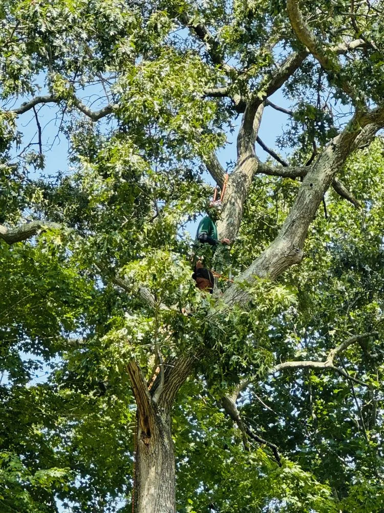 Affordable lawn mowing service near you in Danbury, CT by Grs Tree Service & Landscaping