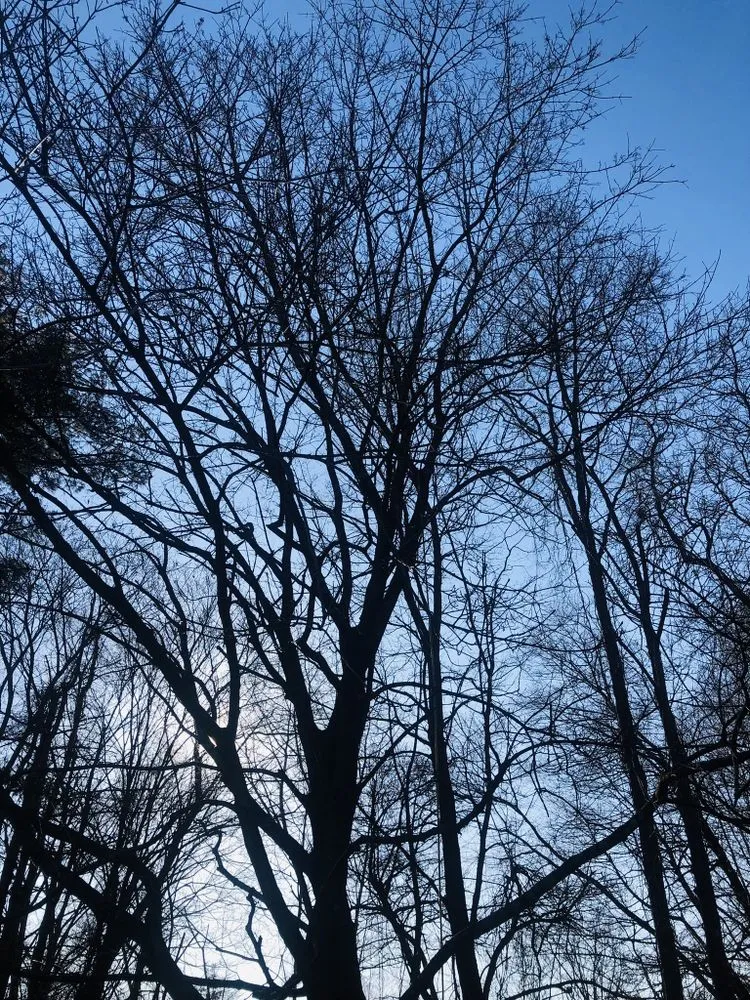 Trusted residential landscaping with custom design across Danbury, CT - Grs Tree Service & Landscaping