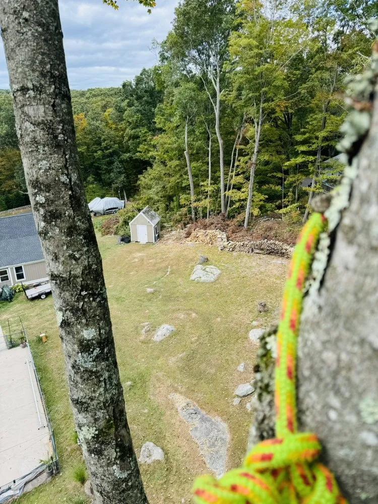 Professional yard maintenance experts serving Danbury, CT - Grs Tree Service & Landscaping