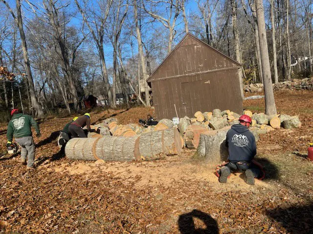 Expert yard cleanup service experts serving Danbury, CT - Grs Tree Service & Landscaping