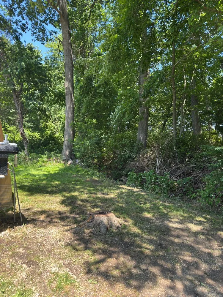 Top-rated residential landscaping experts serving Danbury, CT - Grs Tree Service & Landscaping