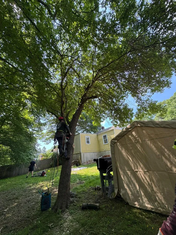 Custom residential landscaping for outdoor upgrades across Danbury, CT - Grs Tree Service & Landscaping