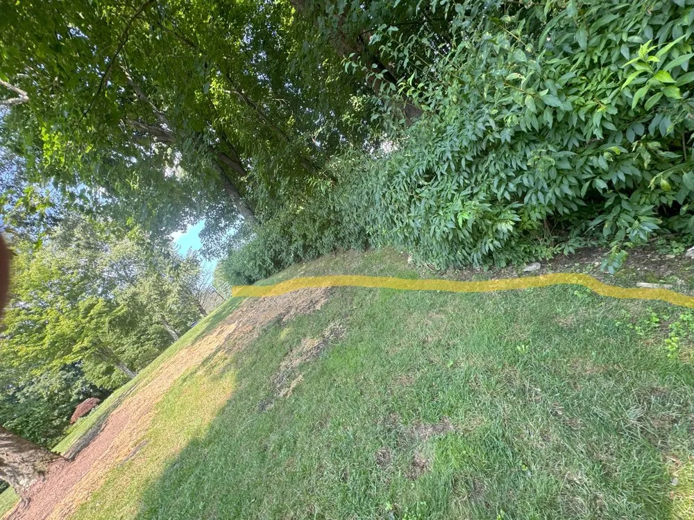 Local yard cleanup service in Danbury, CT by Grs Tree Service & Landscaping