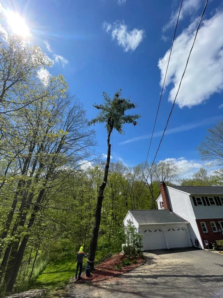 Local landscape installation in Danbury, CT - Grs Tree Service & Landscaping