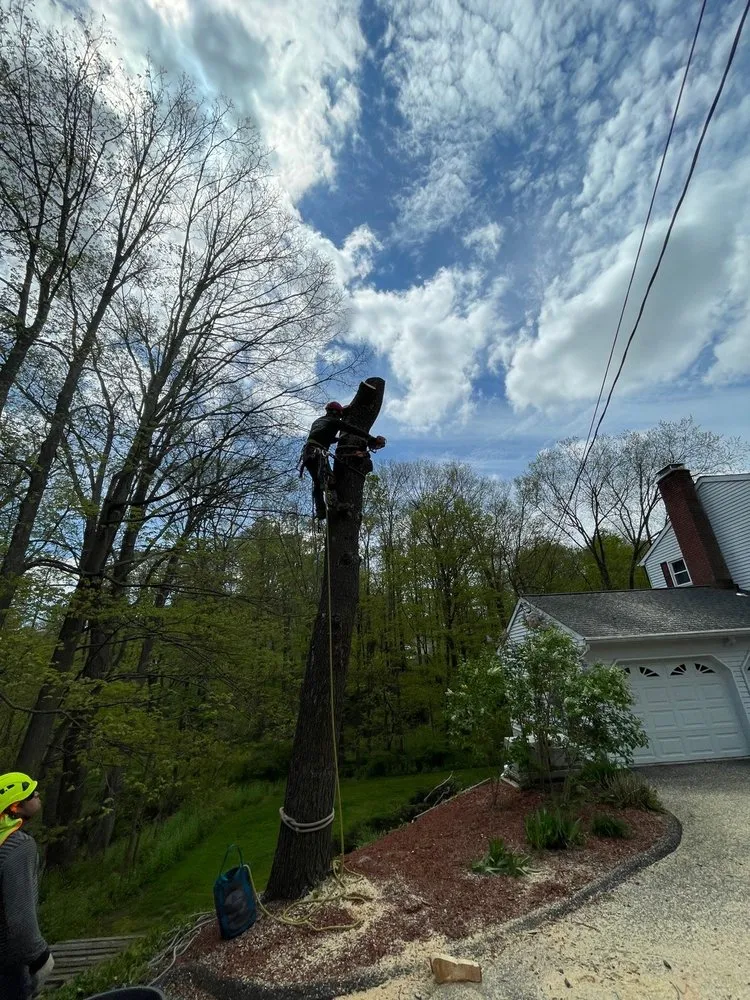 Trusted landscaping services for residential properties in Danbury, CT by Grs Tree Service & Landscaping