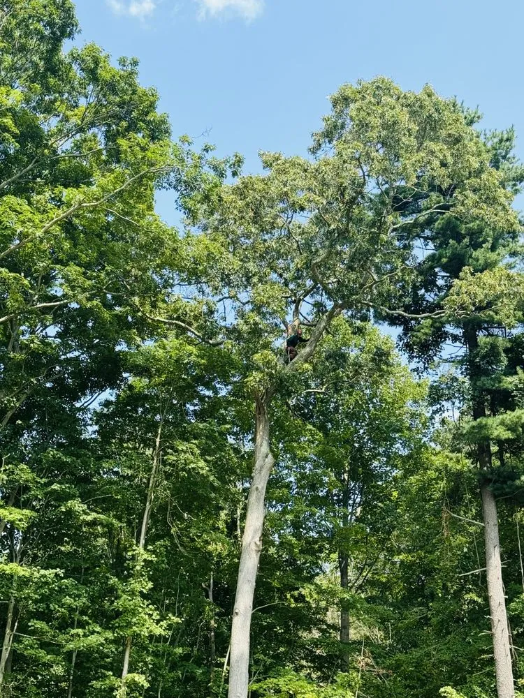 Reliable garden landscaping in Danbury, CT by Grs Tree Service & Landscaping