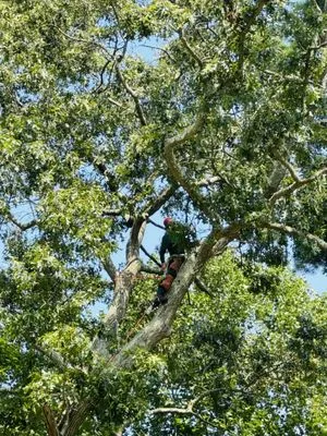 Grs Tree Service & Landscaping Logo