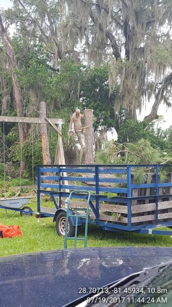 Top-rated yard maintenance in Winter Springs, FL - GRS Tree Services