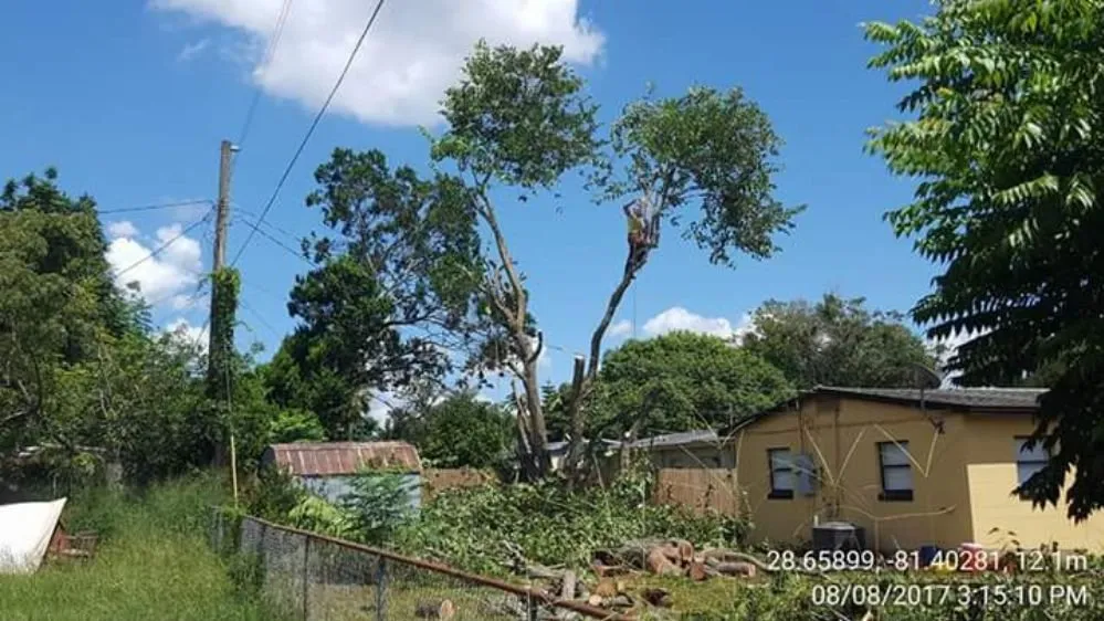 Top-rated outdoor landscaping in Winter Springs, FL - GRS Tree Services