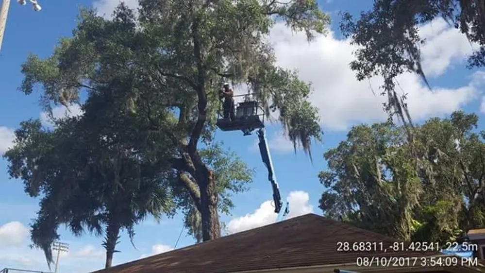 Professional outdoor landscaping in Winter Springs, FL by GRS Tree Services