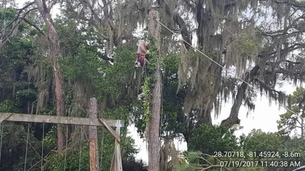 Reliable residential landscaping for year-round maintenance in Winter Springs, FL by GRS Tree Services