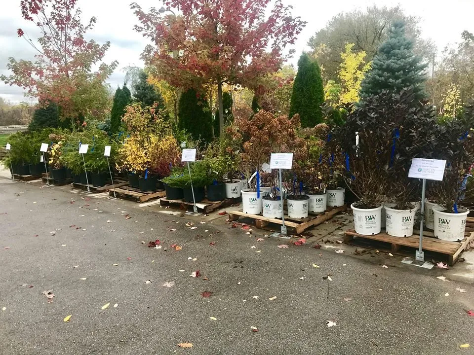 Top-rated landscape installation with custom design in Fond du Lac, WI by Gärten Factory