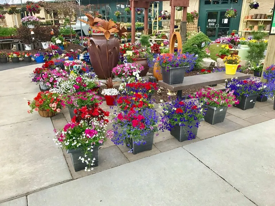 Top-rated lawn mowing service in Fond du Lac, WI - Gärten Factory