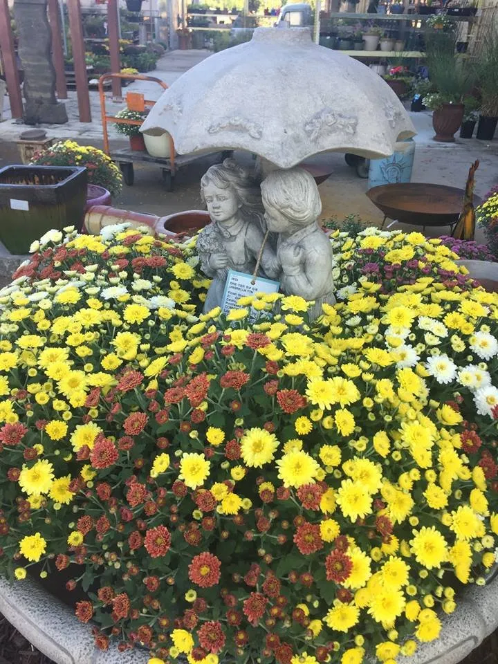 Professional landscape design for homes in Fond du Lac, WI by Gärten Factory