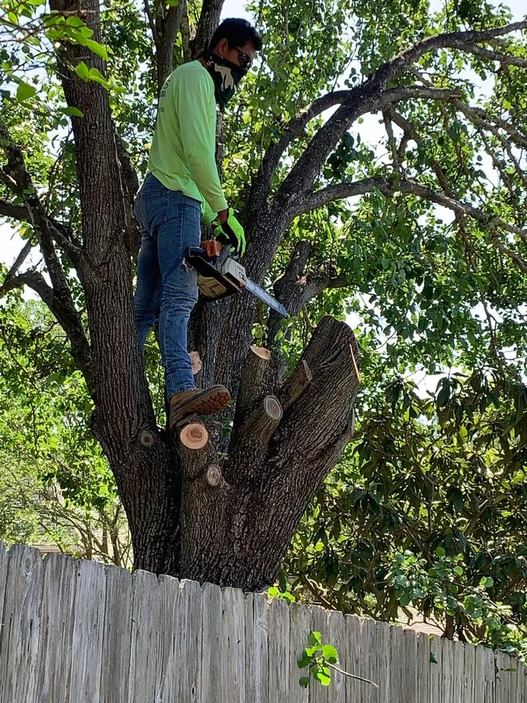 Top-rated lawn care service for residential properties across Friendswood, TX - Grubbs Home Solutions