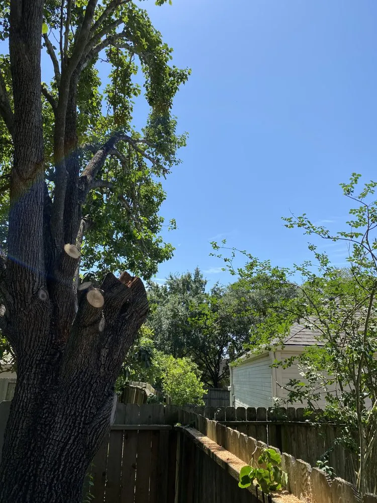 Local lawn mowing service with custom design in Friendswood, TX by Grubbs Home Solutions