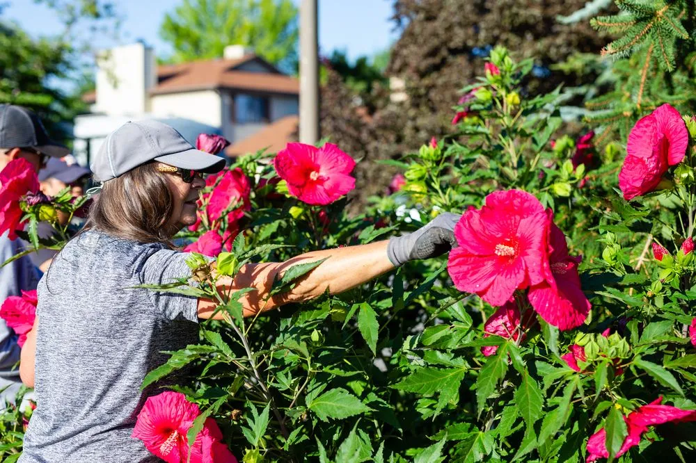Custom garden landscaping in Sandy, UT by Gruendell Gardening & Landscaping