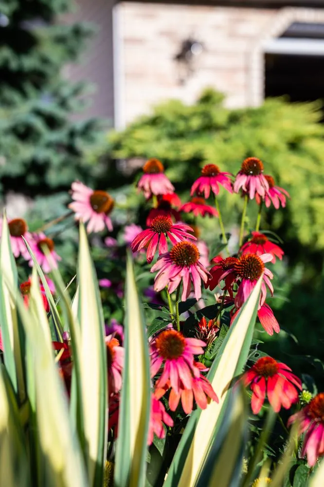 Trusted landscape design in Sandy, UT - Gruendell Gardening & Landscaping