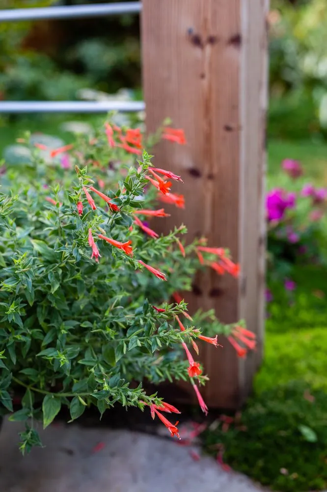 Trusted garden landscaping in Sandy, UT by Gruendell Gardening & Landscaping