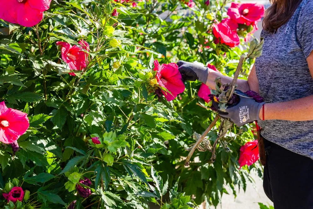 Reliable outdoor landscaping for year-round maintenance in Sandy, UT by Gruendell Gardening & Landscaping