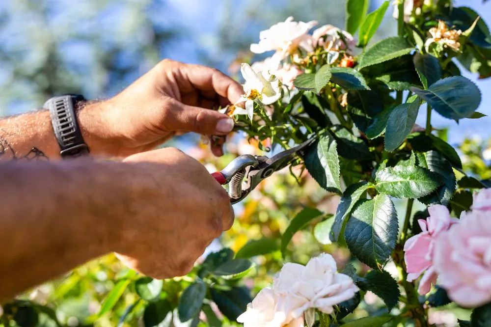 Trusted lawn mowing service for residential properties across Sandy, UT - Gruendell Gardening & Landscaping