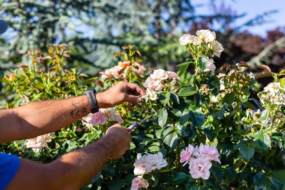 Professional yard maintenance for outdoor upgrades in Sandy, UT by Gruendell Gardening & Landscaping