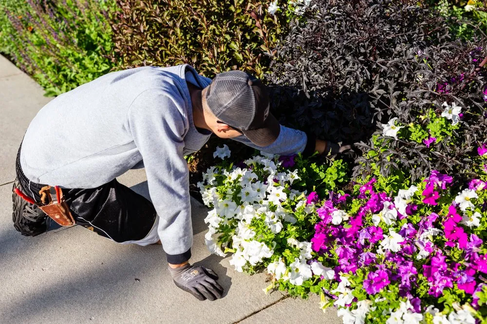 Custom landscape design in Sandy, UT by Gruendell Gardening & Landscaping