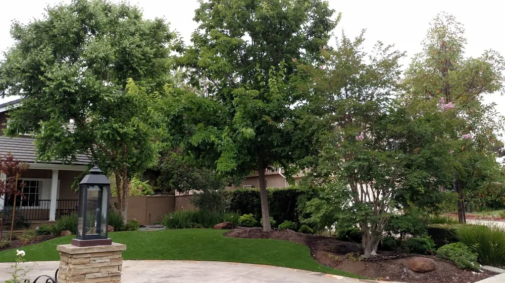 Reliable garden landscaping in Orange, CA by Gruett Tree