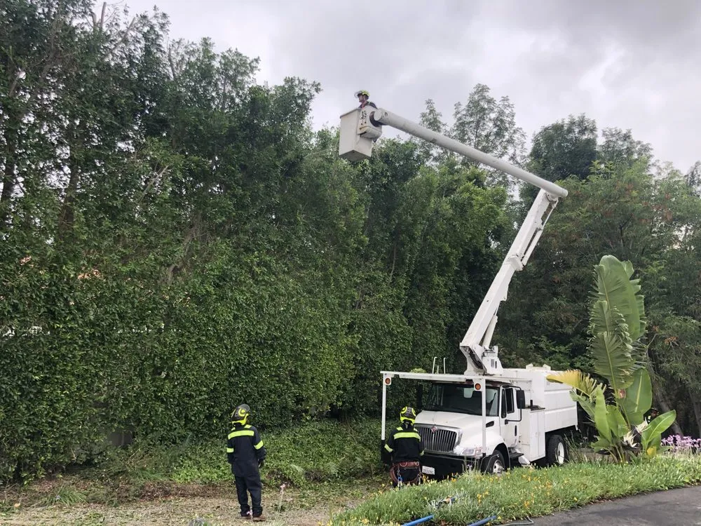 Top-rated yard maintenance for homes in Orange, CA by Gruett Tree