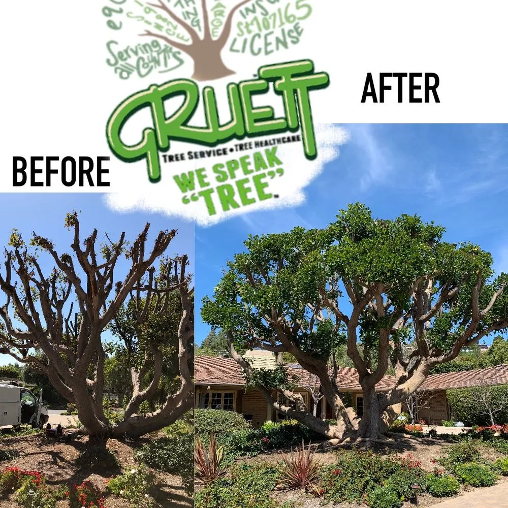 Custom landscaping services experts serving Orange, CA - Gruett Tree