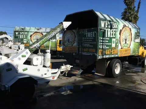 Professional landscape design in Orange, CA - Gruett Tree
