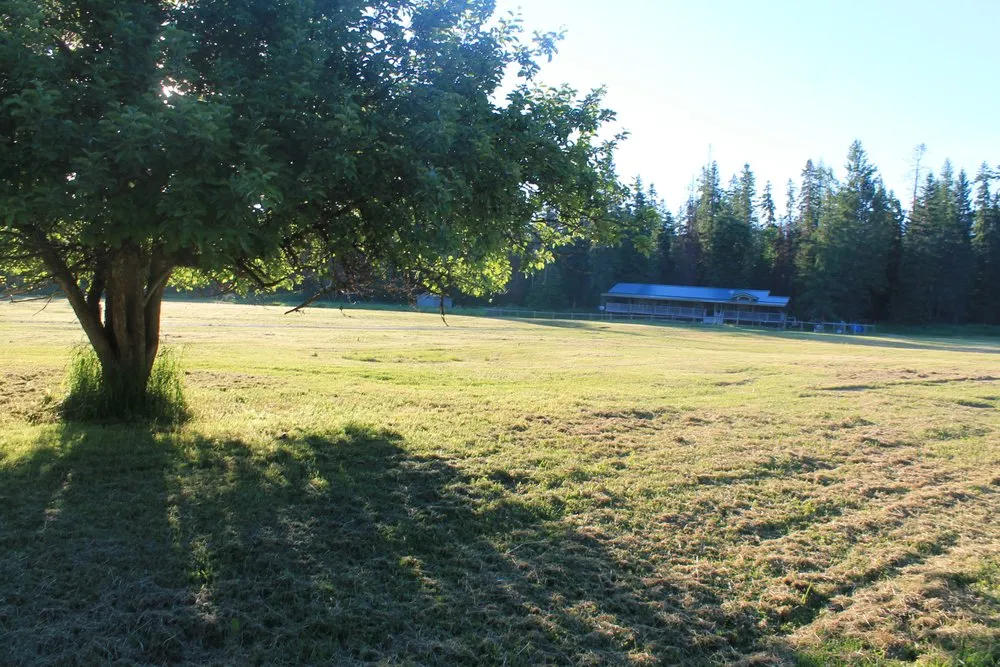 Custom lawn mowing service for outdoor upgrades in Whitefish, MT by Grumpybee Lawn Care