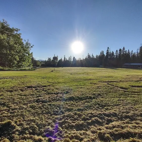 Local landscape design in Whitefish, MT - Grumpybee Lawn Care