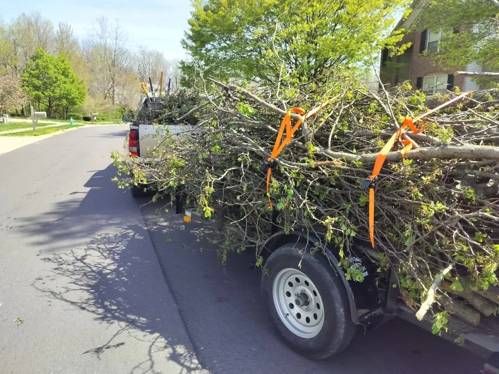 Local yard maintenance for year-round maintenance in Indianapolis, IN by Grumpy's Landscape & Lawncare