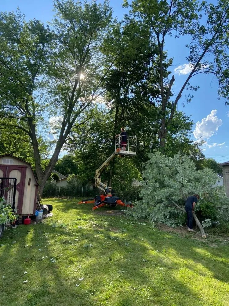 Custom landscaping services in Indianapolis, IN by Grumpy's Landscape & Lawncare