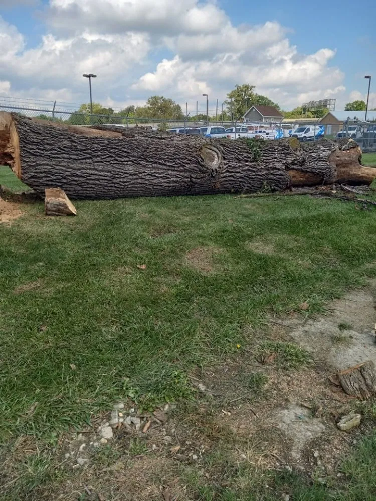 Affordable lawn care service for homes in Indianapolis, IN by Grumpy's Landscape & Lawncare