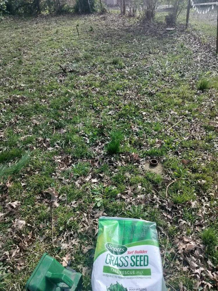 Local landscape installation experts serving Indianapolis, IN - Grumpy's Landscape & Lawncare