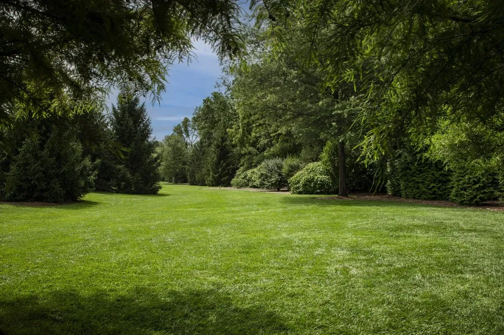 Custom yard cleanup service experts serving Miamisburg, OH - Grunder Green