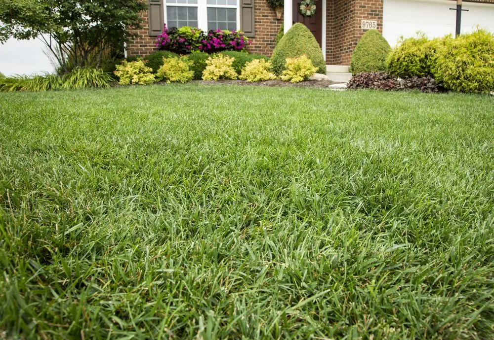 Affordable lawn care service experts serving Miamisburg, OH - Grunder Green