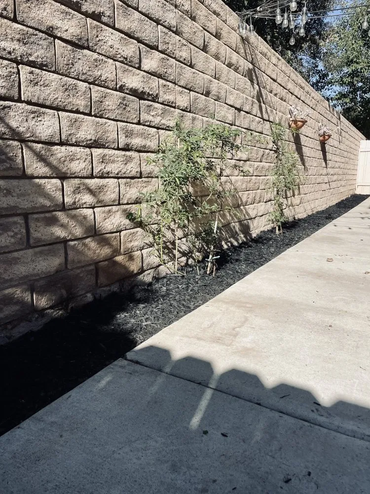 Reliable landscaping services in Santa Maria, CA - Grunt Landscaping