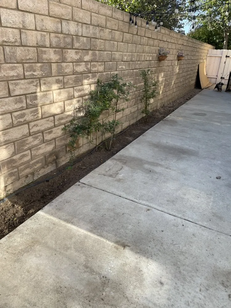 Professional yard maintenance experts serving Santa Maria, CA - Grunt Landscaping