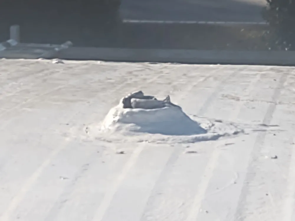 Top-rated landscape installation in Welcome, NC by Grunt Squad