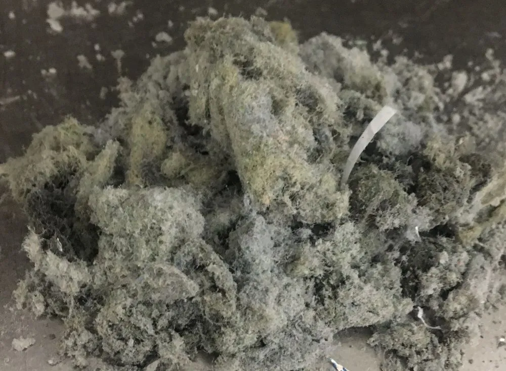 Trusted lawn mowing service for year-round maintenance in Welcome, NC by Grunt Squad