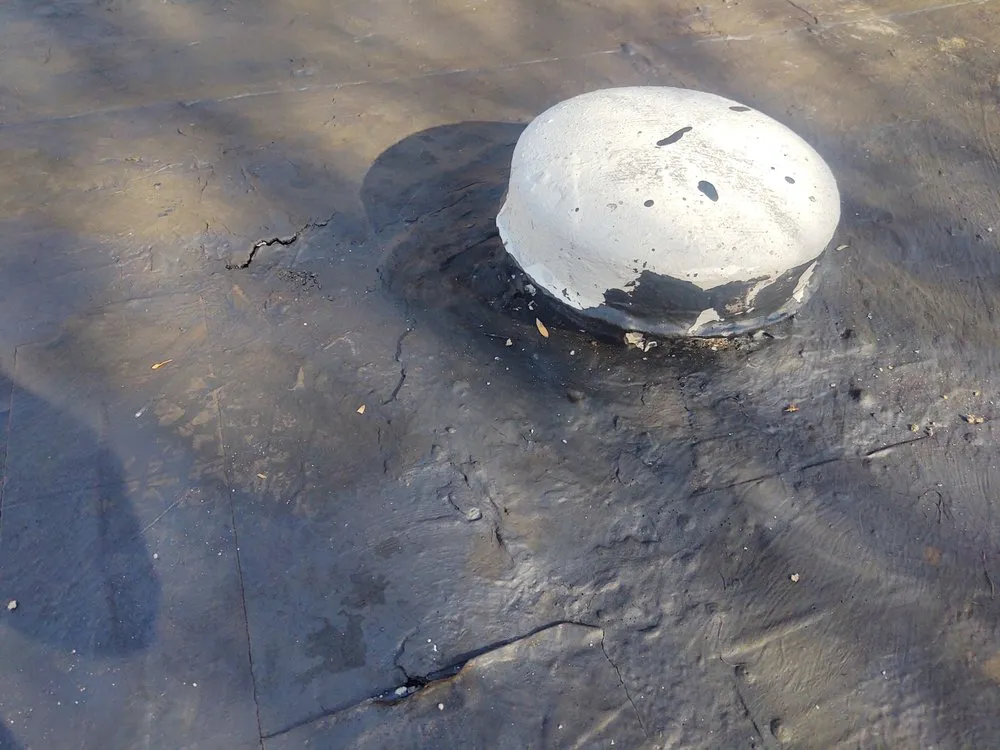 Top-rated landscaping services in Welcome, NC by Grunt Squad