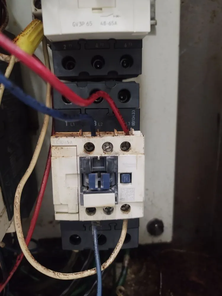 Affordable yard cleanup service near you across Welcome, NC - Grunt Squad