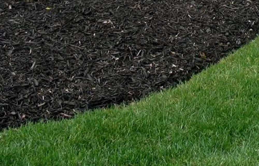 Professional lawn mowing service in Pickens, SC - Grunt Tractor Services