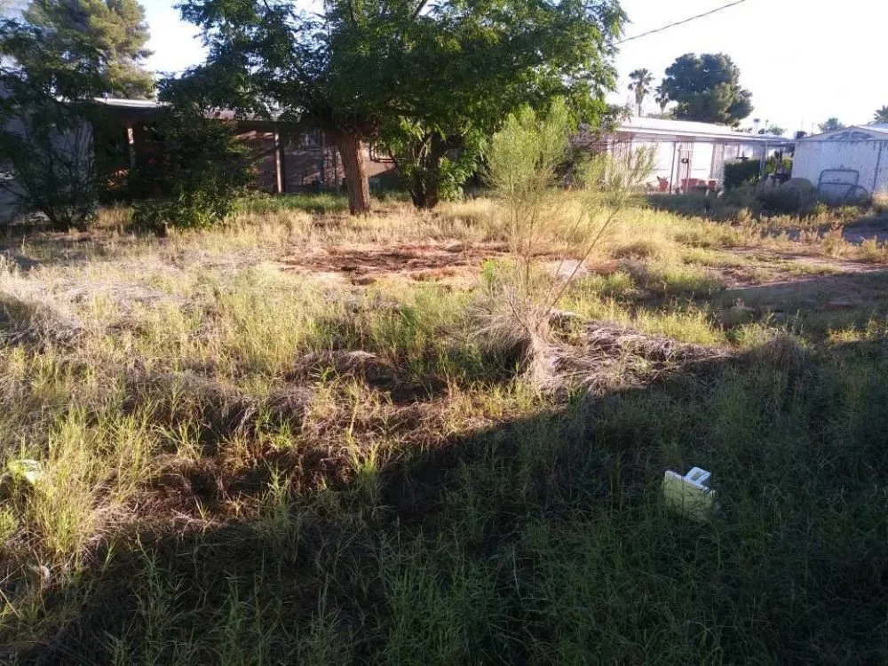 Affordable landscape design in Tucson, AZ by Grunt-Work