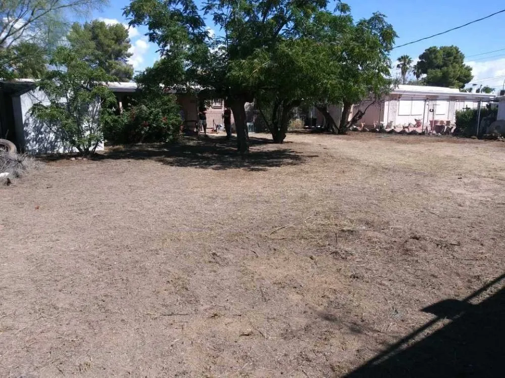 Professional yard cleanup service with custom design across Tucson, AZ - Grunt-Work