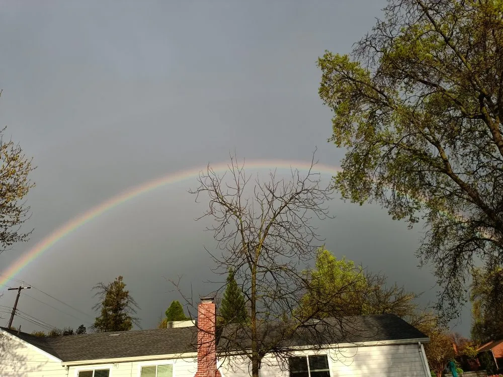 Local residential landscaping experts serving North Highlands, CA - Gruntz